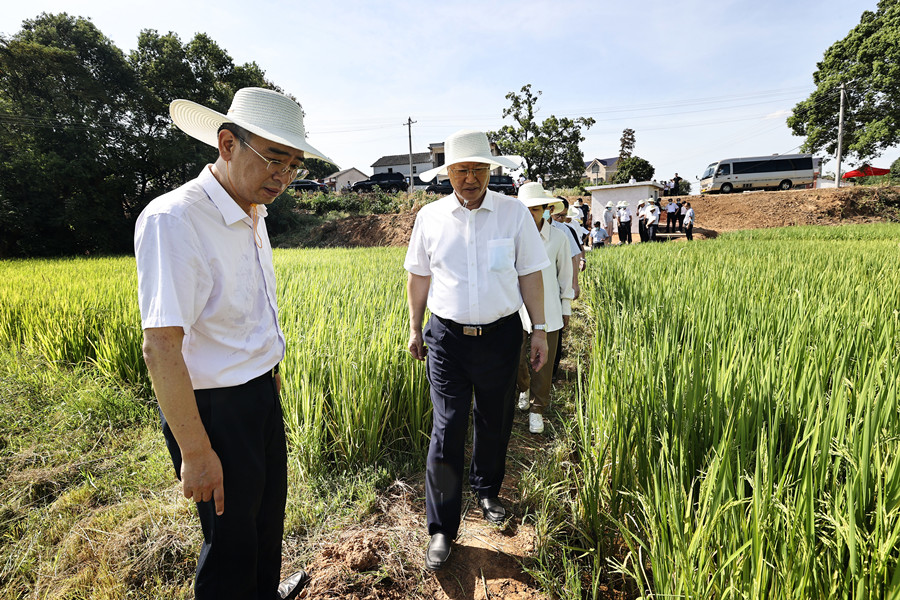 毛伟明：以保水为关键 以保收为目标 全力以赴做好抗旱救灾工作（图）