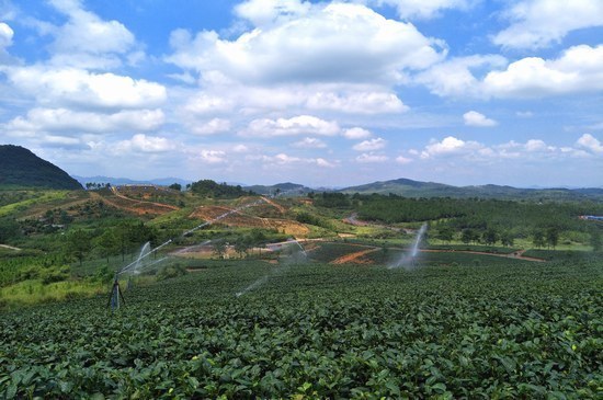 宜章县农田水利项目县天塘镇高效节水灌溉工程