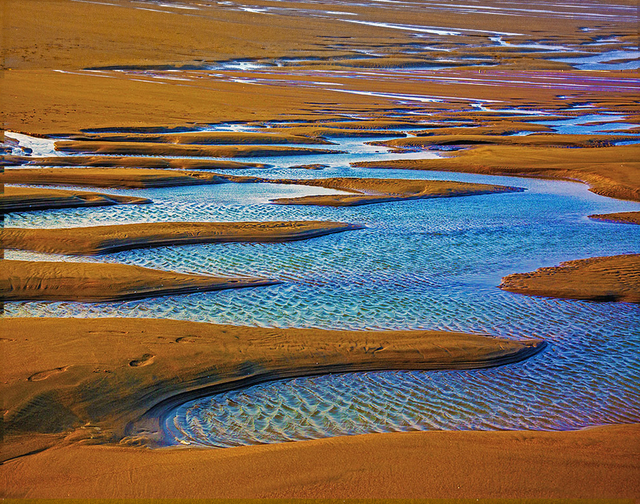 最新津市毛里湖入选国际重要湿地图